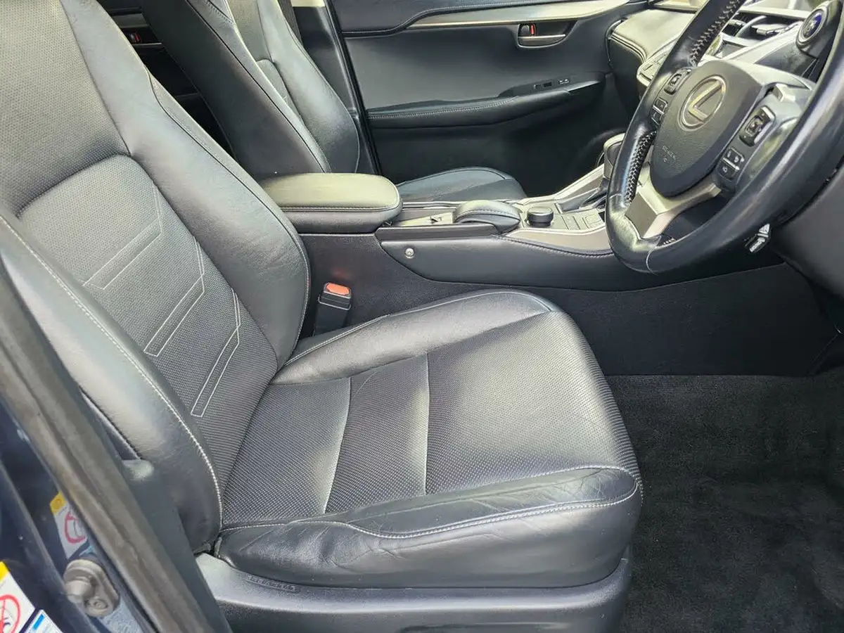 2014-lexus-nx-300h-25-luxury-194bhp-sunroof-big-36