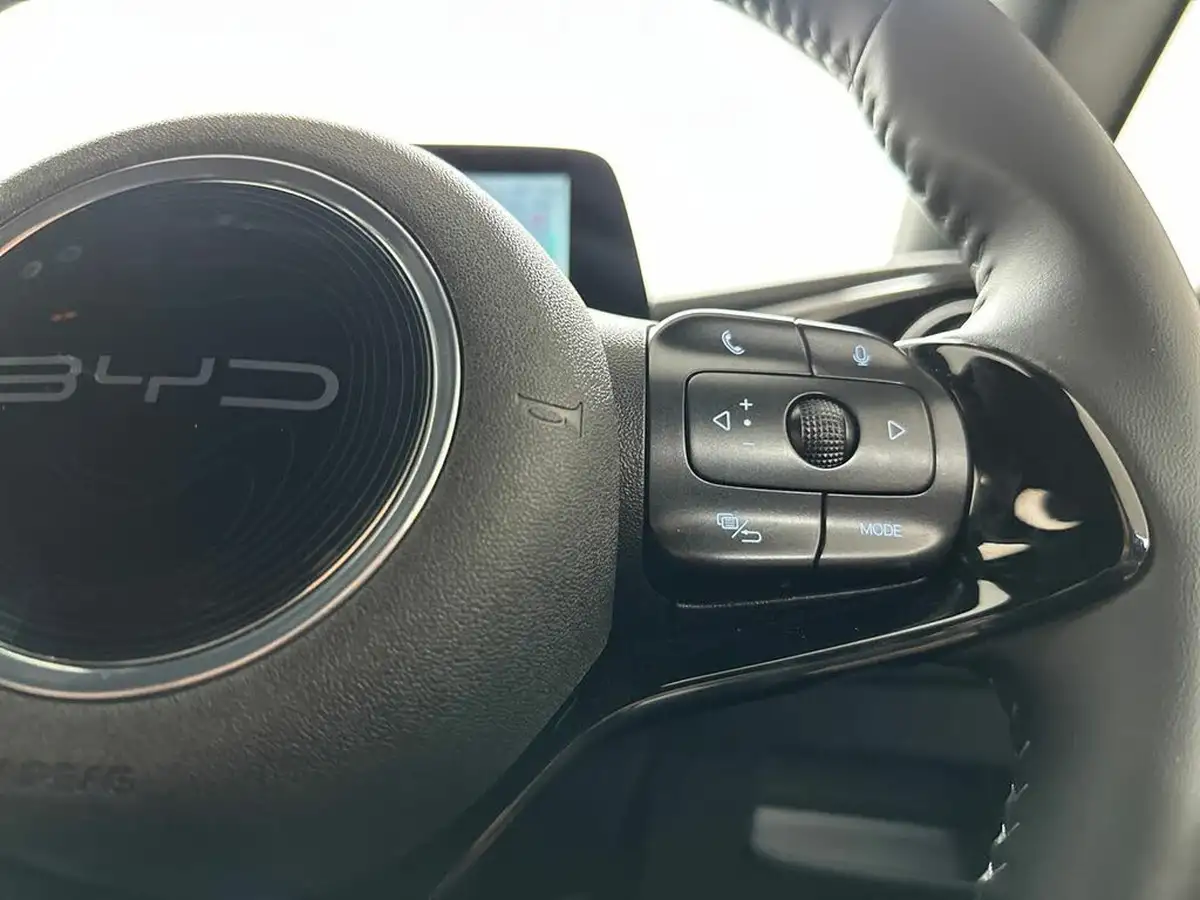 2024-byd-dolphin-e-comfort-big-26