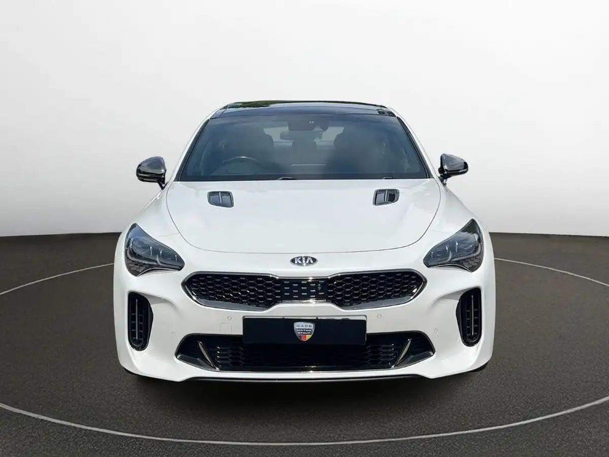 2019-kia-stinger-22-crdi-gt-line-s-big-4