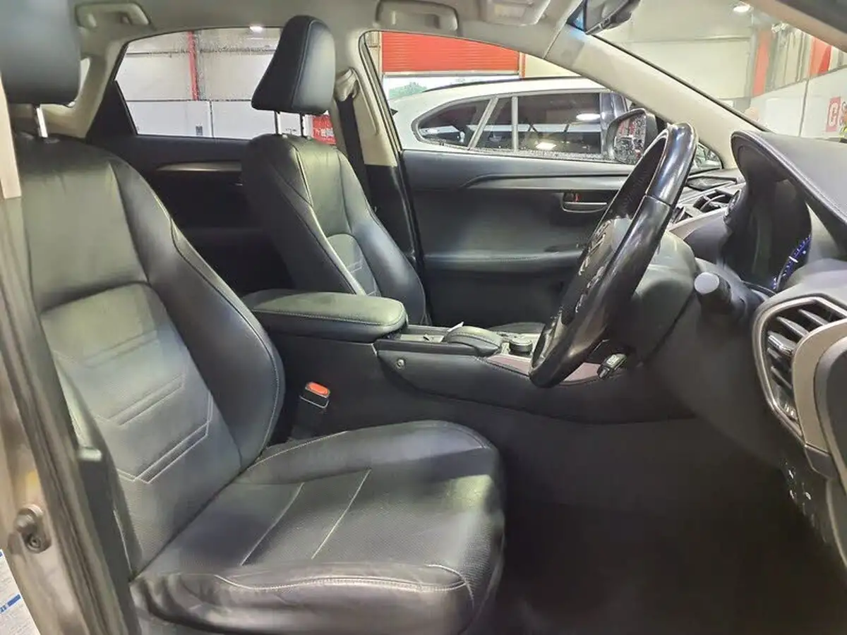 2017-lexus-nx-300h-25-luxury-big-17