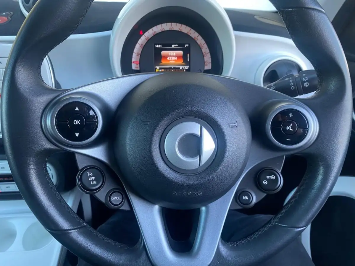 2015-smart-forfour-10-passion-ss-big-15