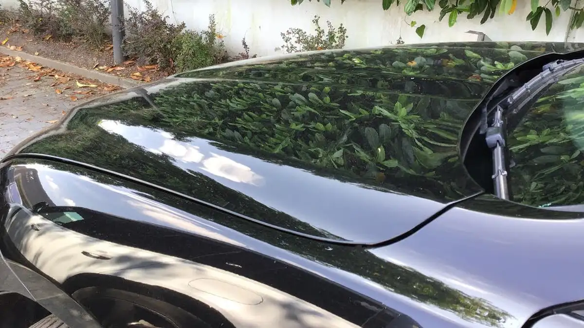 2023-jaguar-f-pace-20-p250-r-dynamic-hse-black-big-19