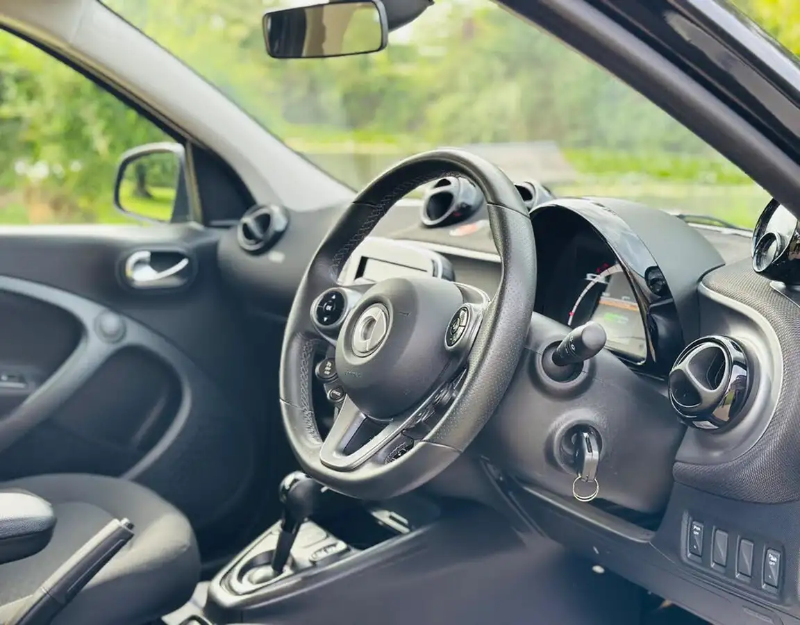 2020-smart-forfour-eq-pulse-premium-big-7