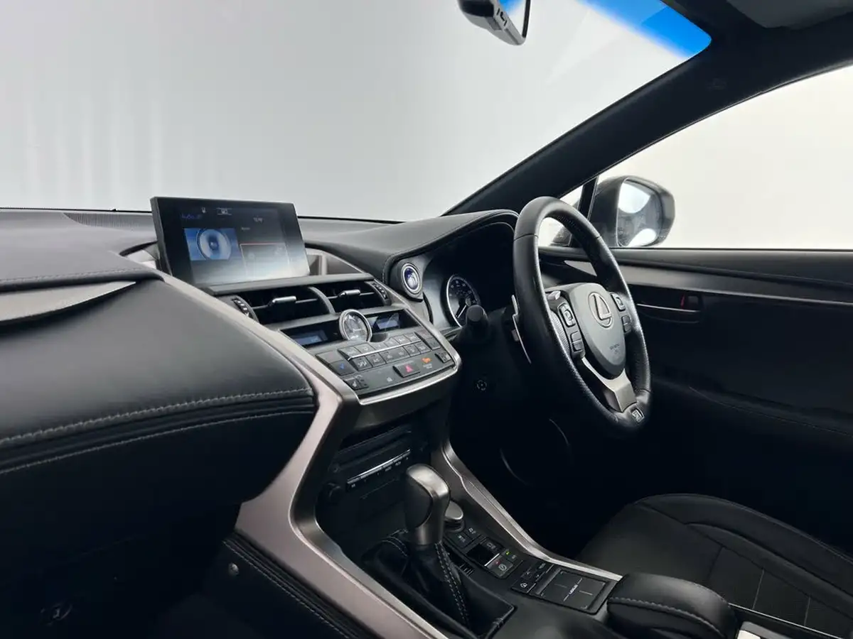 2017-lexus-nx-300h-25-f-sport-big-17