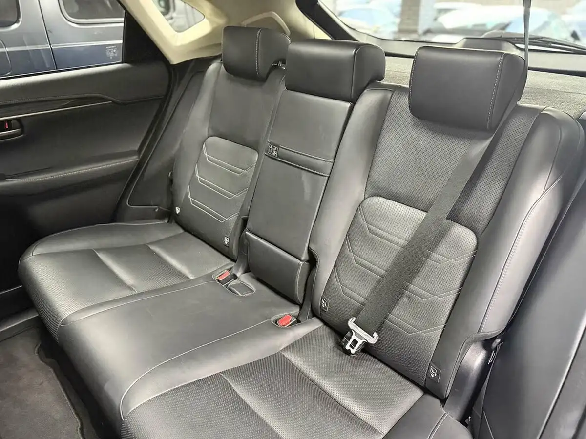 2019-lexus-nx-300h-25-takumi-big-28