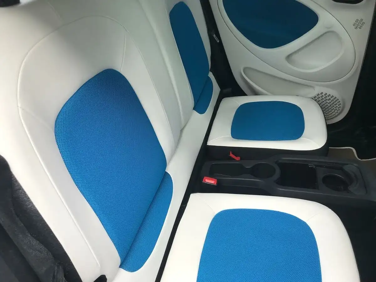 2015-smart-forfour-10-proxy-premium-plusss-big-7