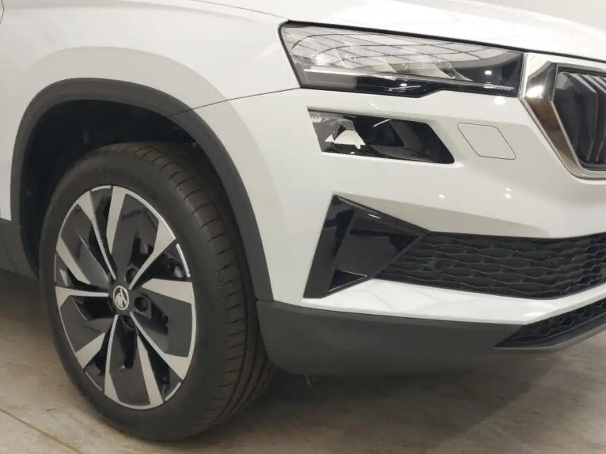 2024-skoda-karoq-10-tsi-se-l-edition-big-8