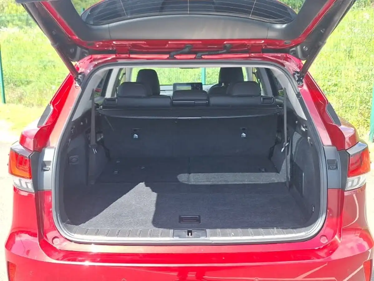 2022-lexus-rx-450h-l-35-rx-l-big-7