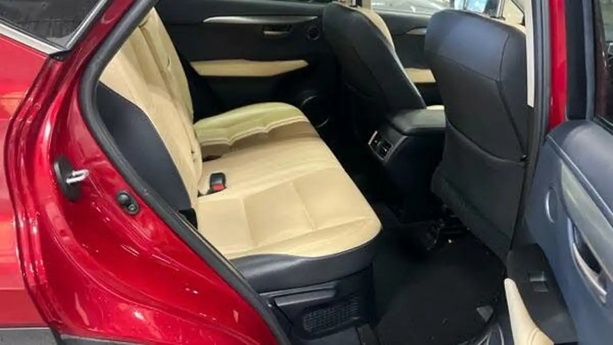 2017-lexus-nx-300h-25-luxury-big-8