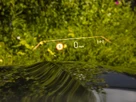 2024-bmw-x7-30-xdrive40i-m-sport-small-16