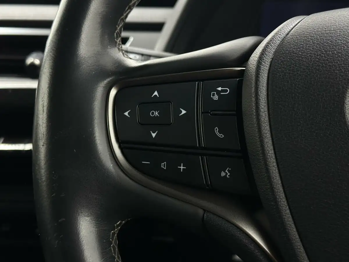 2019-lexus-ux-250h-20-ux-premium-pack-big-12
