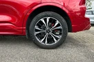 2023-ford-kuga-25t-st-line-x-edition-225ps-phev-small-7