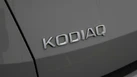 2021-skoda-kodiaq-15-tsi-se-l-dsg-small-19