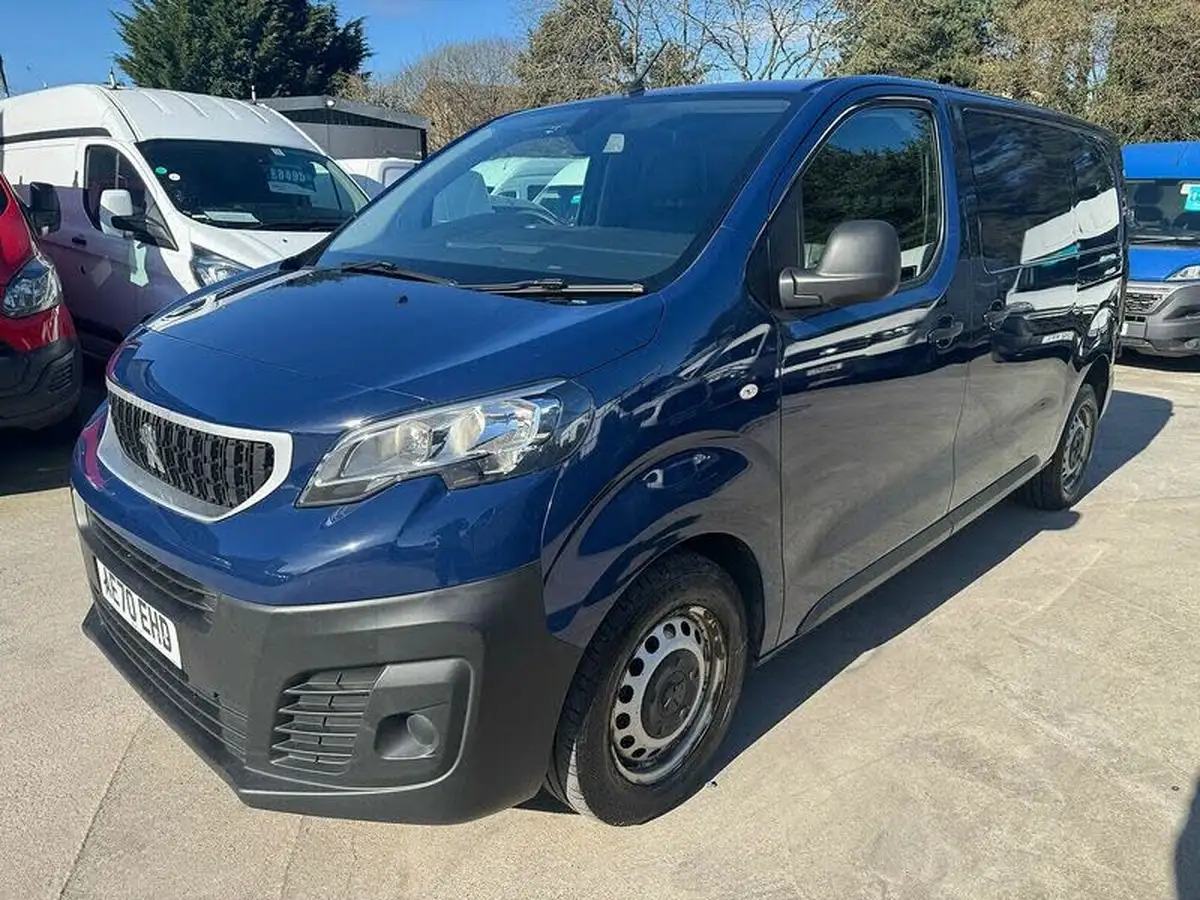 2021-peugeot-expert-20-bluehdi-professional-long-1400-eu6dt-panel-big-2