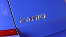 2021-skoda-kamiq-10-tsi-se-95ps-small-20