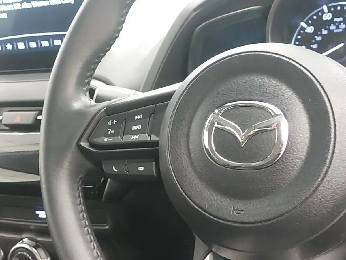 2022-mazda-mazda2-15-e-skyactiv-g-se-l-big-10