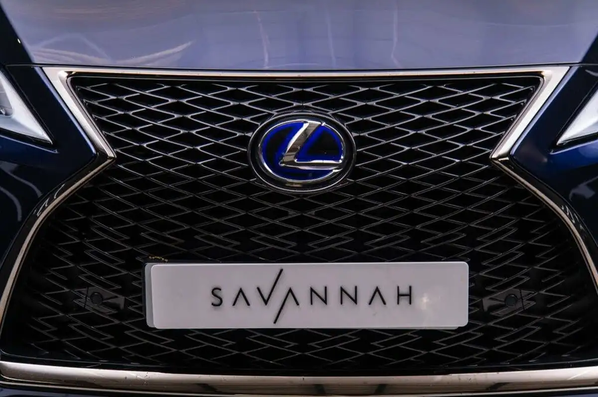 2020-lexus-rx-450h-35-f-sport-4wd-big-31