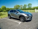 2020-lexus-nx-300h-25-nx-4wd-premium-sport-edition-small-24