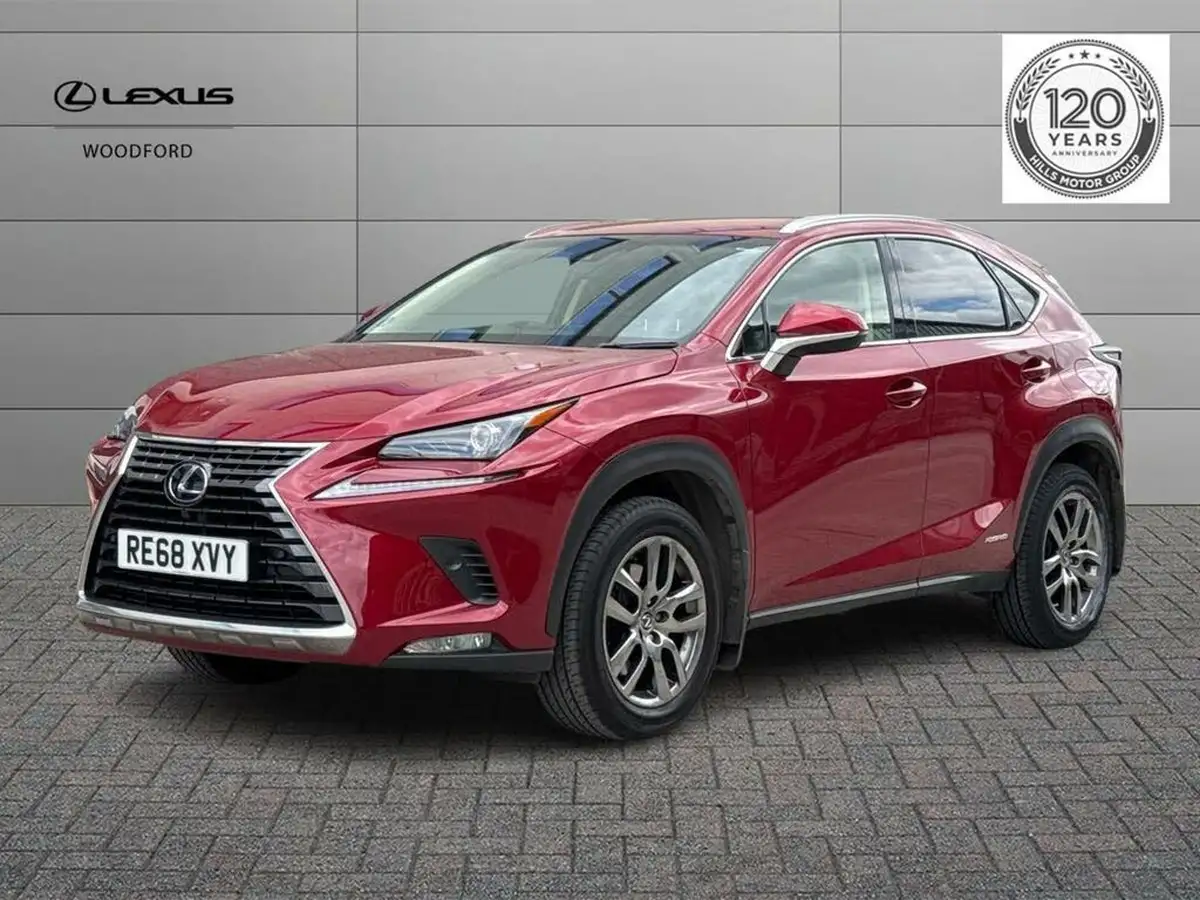 2019-lexus-nx-300h-25-luxury-big-6