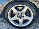 2014-mercedes-benz-slk-21td-slk250-amg-sport-small-52