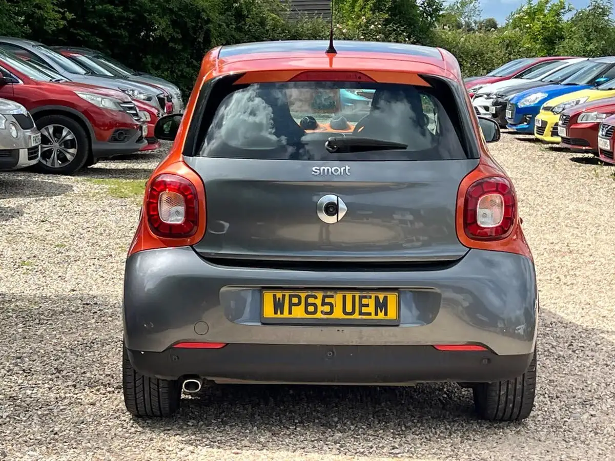 2015-smart-forfour-09-edition-1-big-5