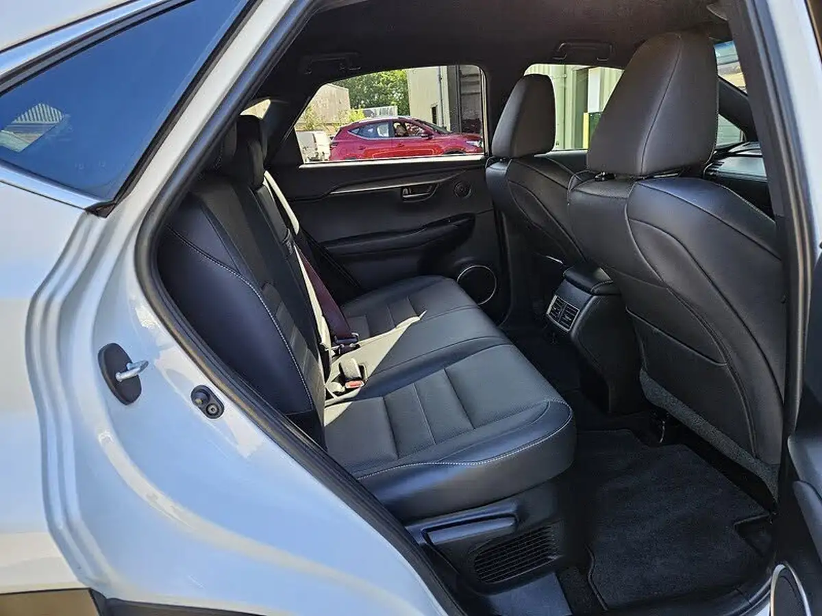 2018-lexus-nx-300h-25-f-sport-big-17