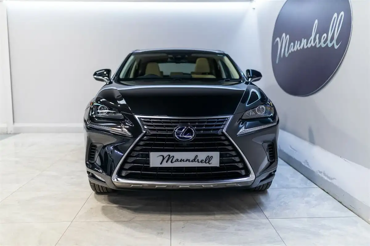 2019-lexus-nx-300h-25-nx-premium-pack-big-4