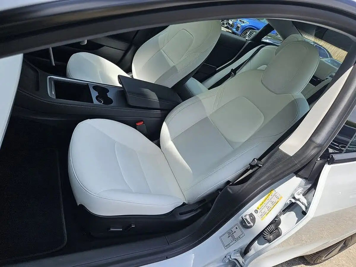 2021-tesla-model-3-e-standard-plus-big-15