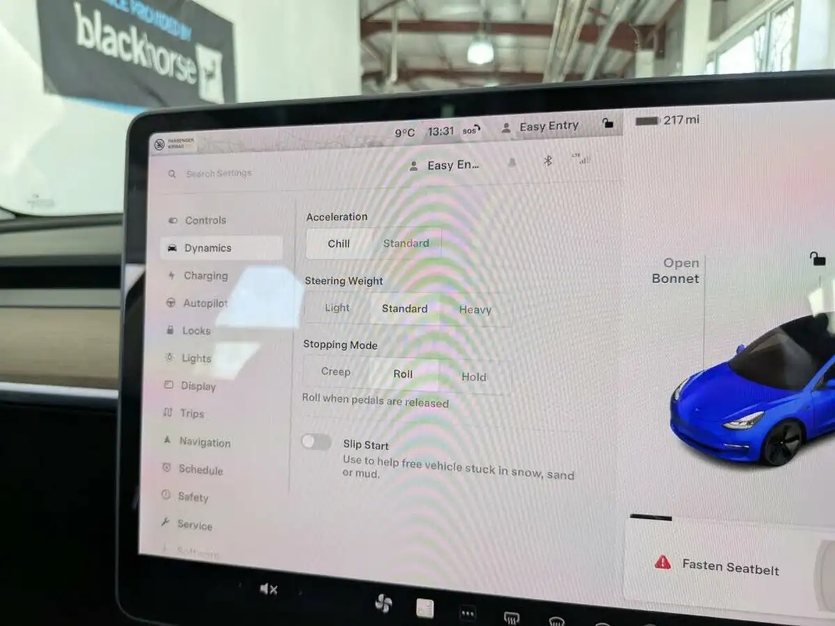 2020-tesla-model-3-e-standard-plus-big-15