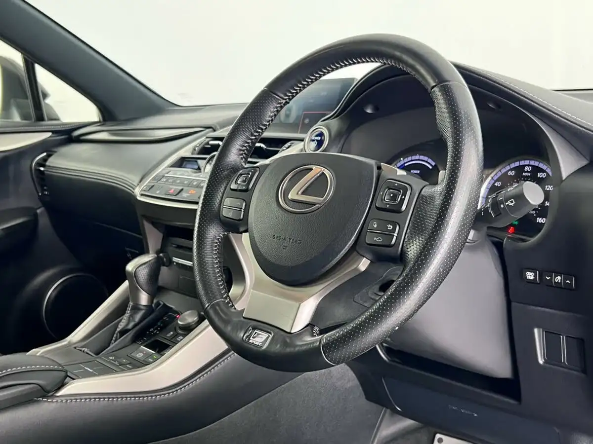 2017-lexus-nx-300h-25-f-sport-big-15