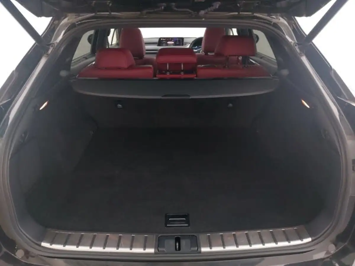 2017-lexus-rx-450h-35-f-sport-big-7