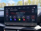 2024-cupra-formentor-20-tsi-vz3-310ps-4drive-small-56