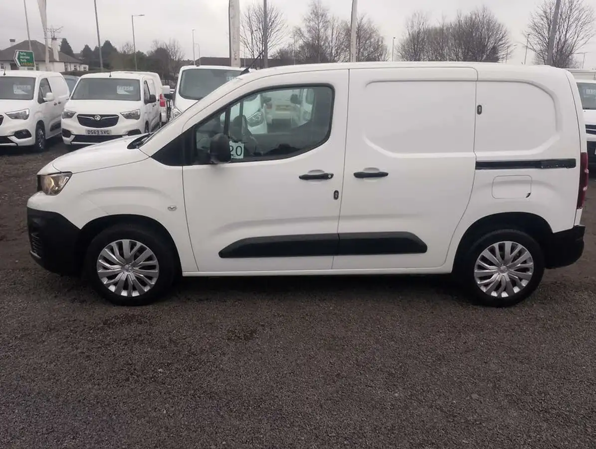 2020-peugeot-partner-15-bluehdi-1000-professional-100ps-eu6dt-panel-big-3