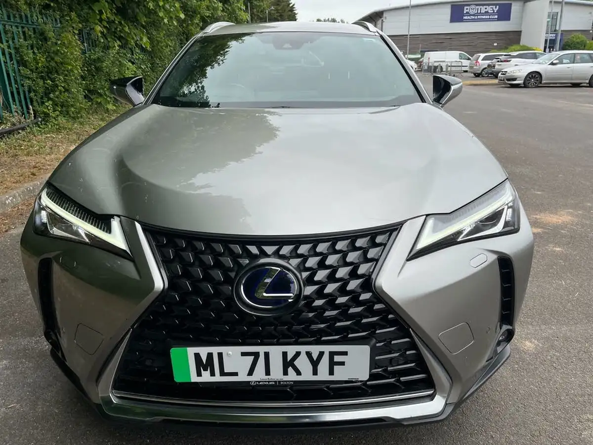 2021-lexus-ux-300e-e-ux-big-1