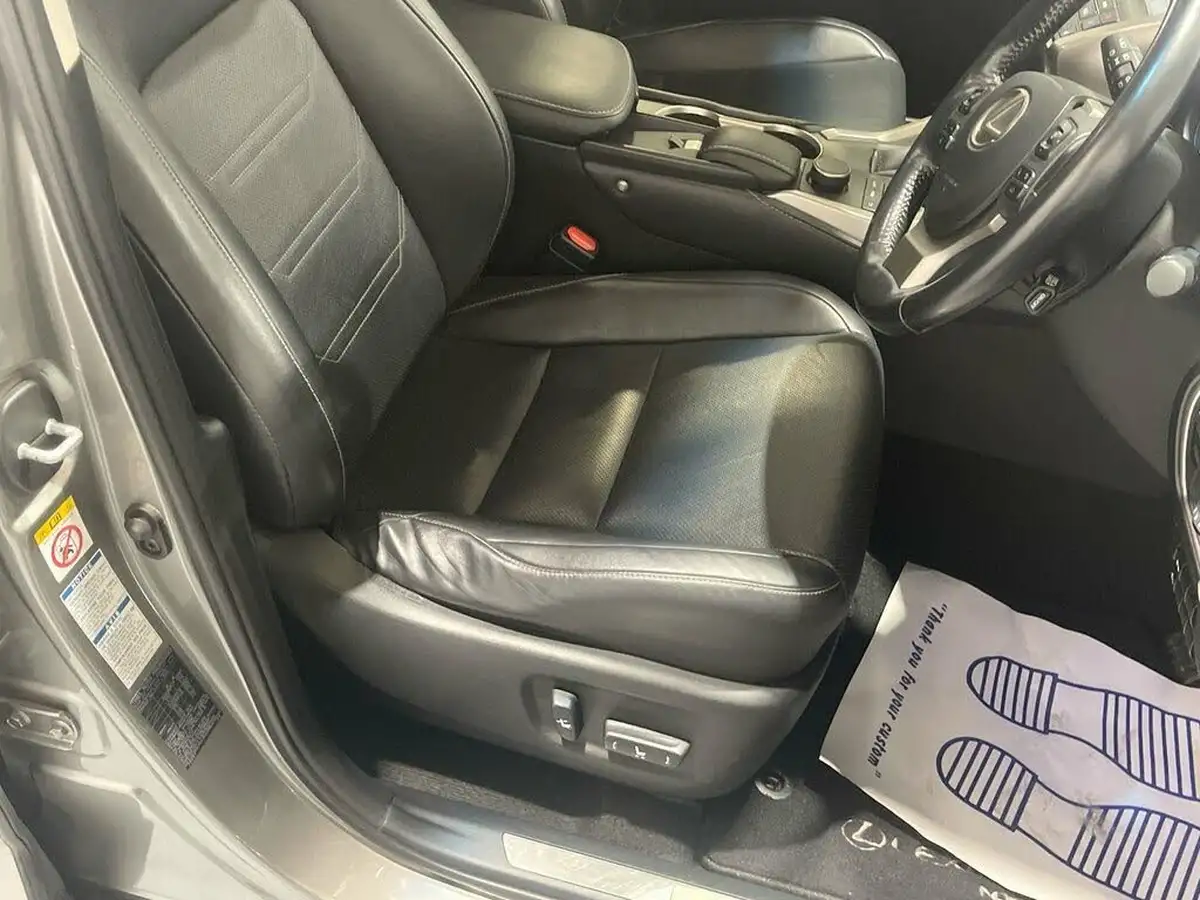 2016-lexus-nx-300h-25-luxury-big-4