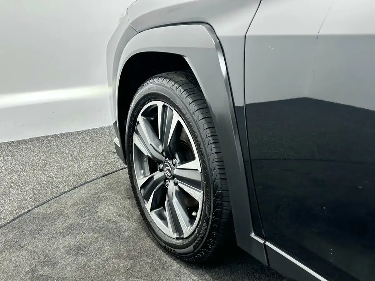 2019-lexus-ux-250h-20-ux-premium-pack-big-52