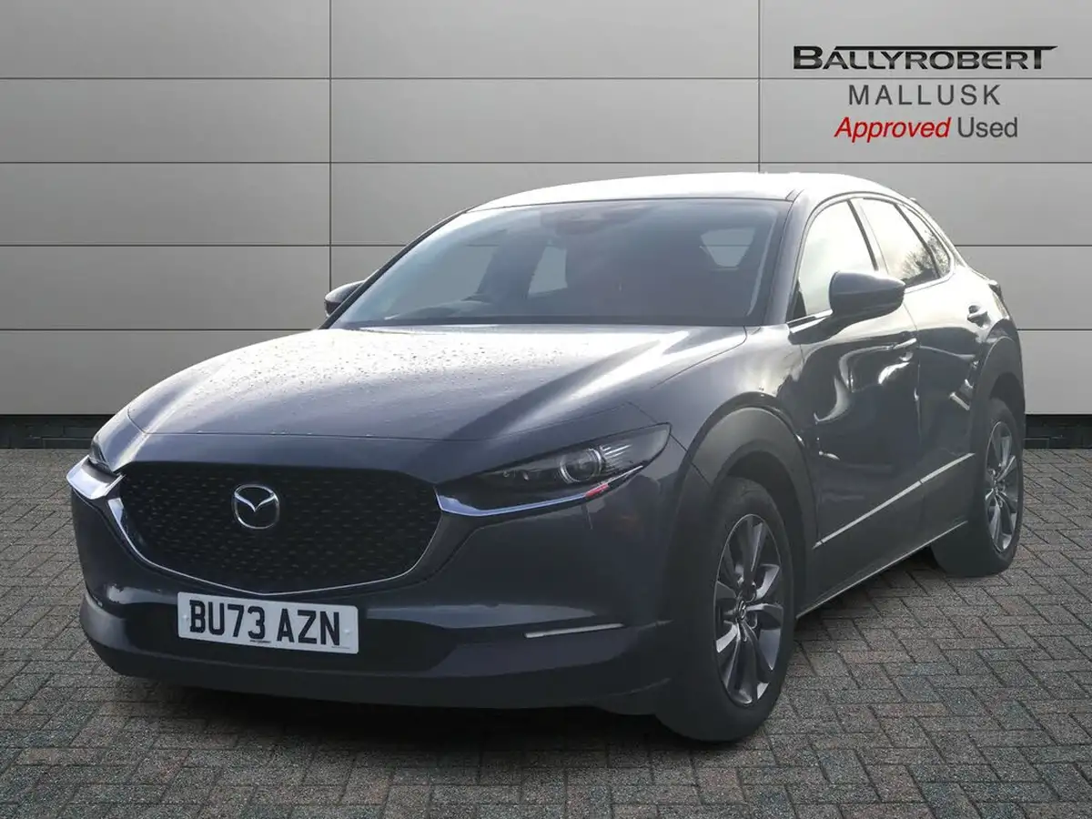 2024-mazda-cx-30-20-e-skyactiv-x-takumi-auto-big-13