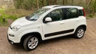 2014-fiat-panda-09-trekking-small-4