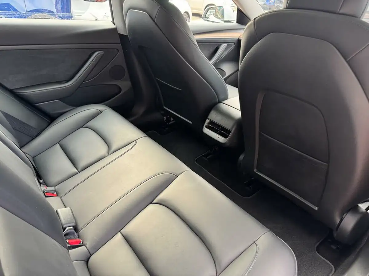2021-tesla-model-3-e-long-range-awd-big-46