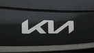 2023-kia-niro-ev-e-3-small-22