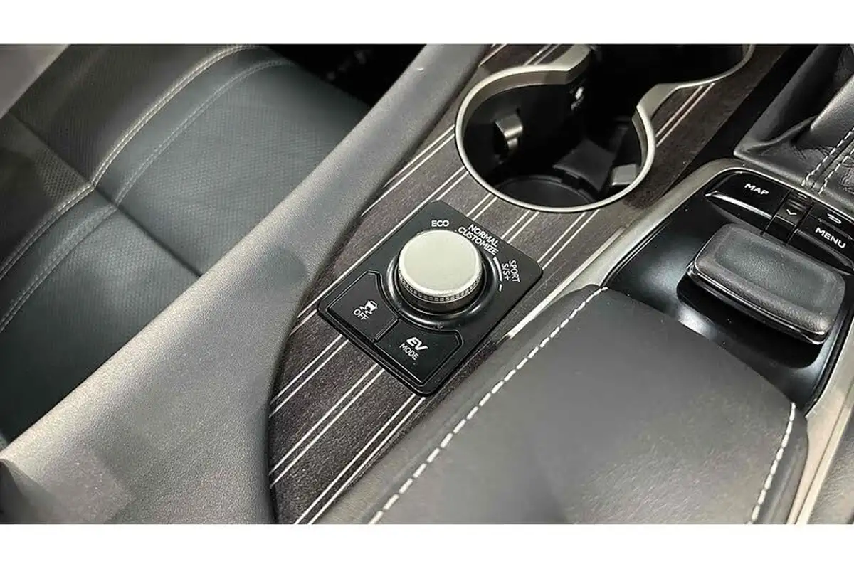 2017-lexus-rx-450h-35-premier-sun-big-61
