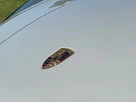 2021-porsche-macan-30-s-small-11