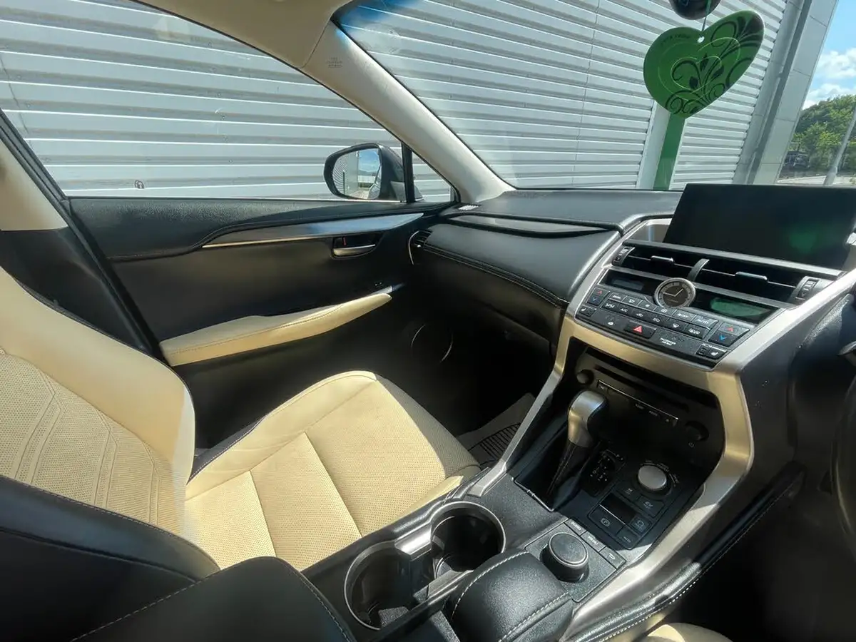 2017-lexus-nx-300h-25-luxury-big-20