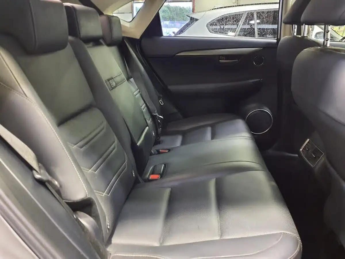 2017-lexus-nx-300h-25-luxury-big-19