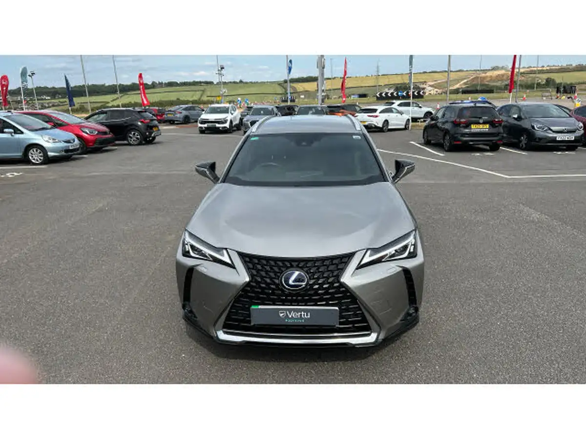 2022-lexus-ux-300e-e-ux-201bhp-big-31