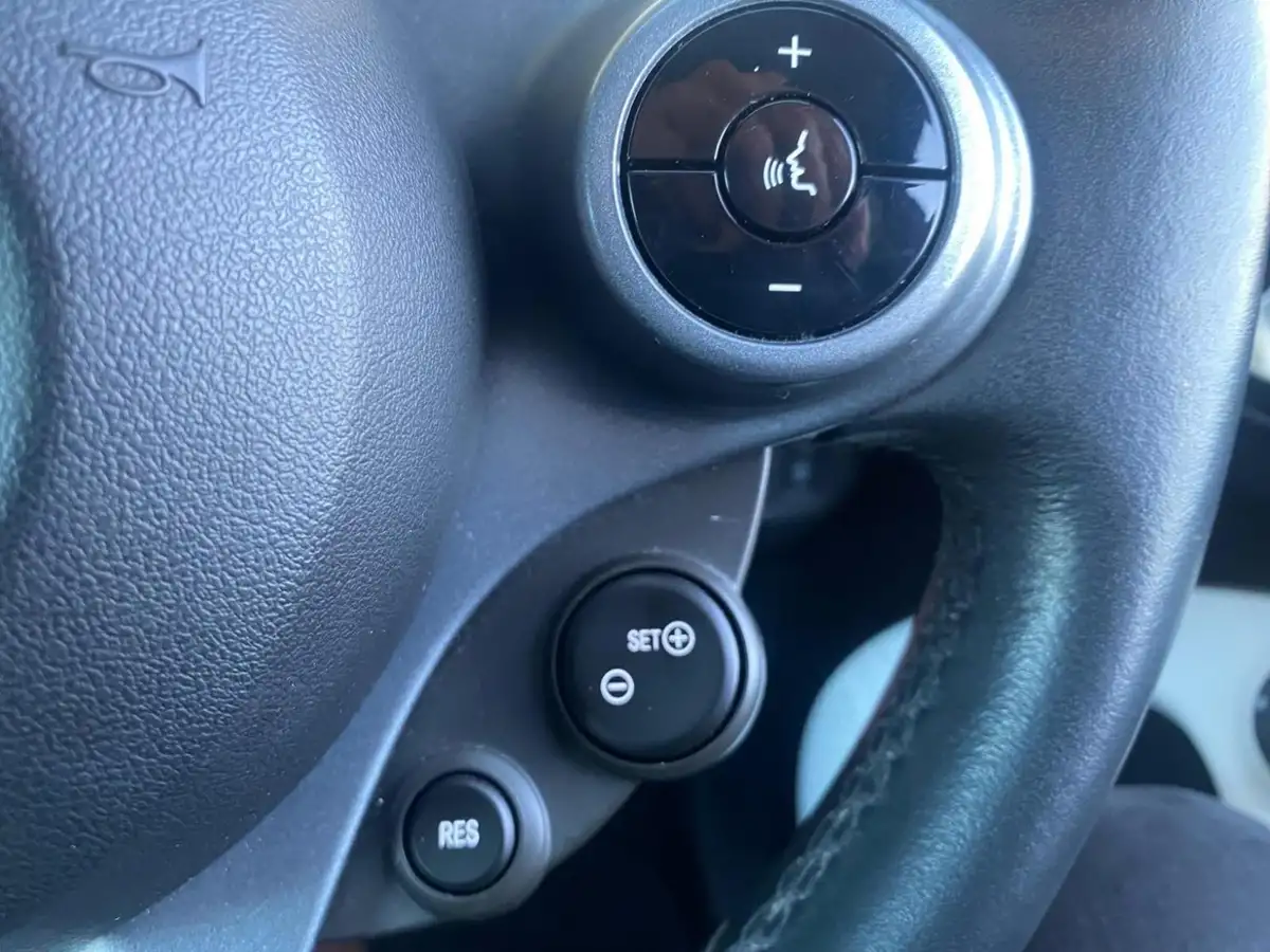 2015-smart-forfour-10-passion-ss-big-17