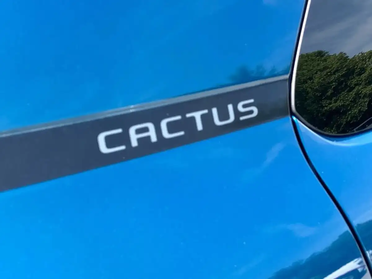 2020-citroen-c4-cactus-12-puretech-flair-110ps-big-30