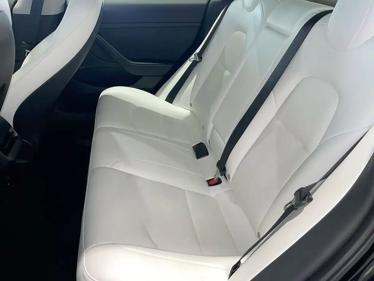 2021-tesla-model-3-e-long-range-awd-big-23