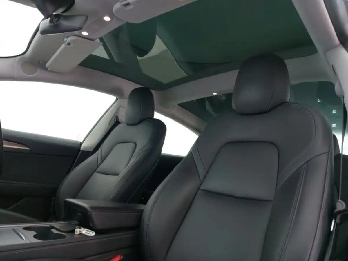 2021-tesla-model-3-e-long-range-awd-big-11