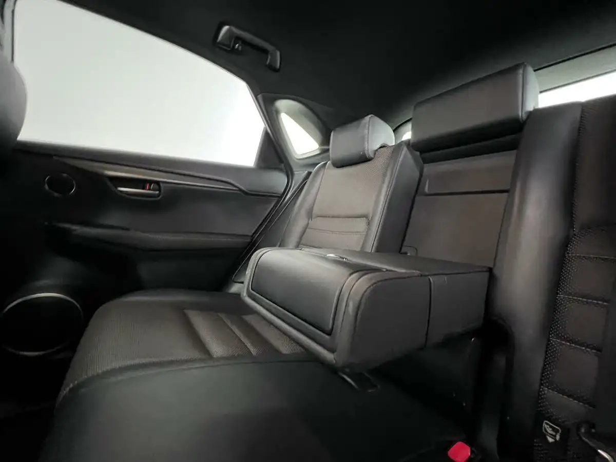 2017-lexus-nx-300h-25-f-sport-big-19